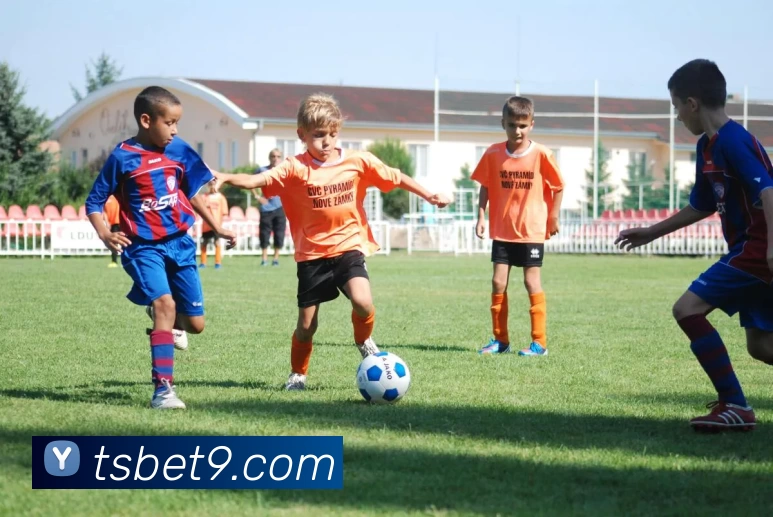 天顺娱乐官网平台生态图