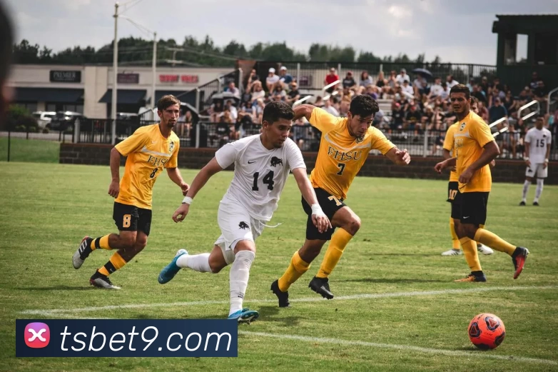 天顺娱乐官网全站App