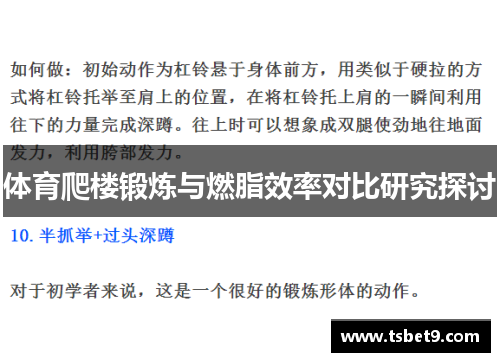 体育爬楼锻炼与燃脂效率对比研究探讨