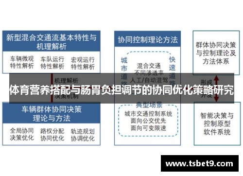 体育营养搭配与肠胃负担调节的协同优化策略研究