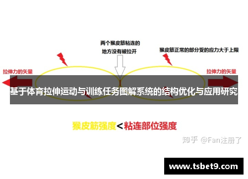 基于体育拉伸运动与训练任务图解系统的结构优化与应用研究
