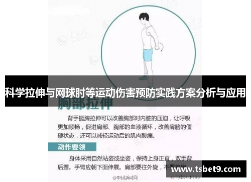 科学拉伸与网球肘等运动伤害预防实践方案分析与应用